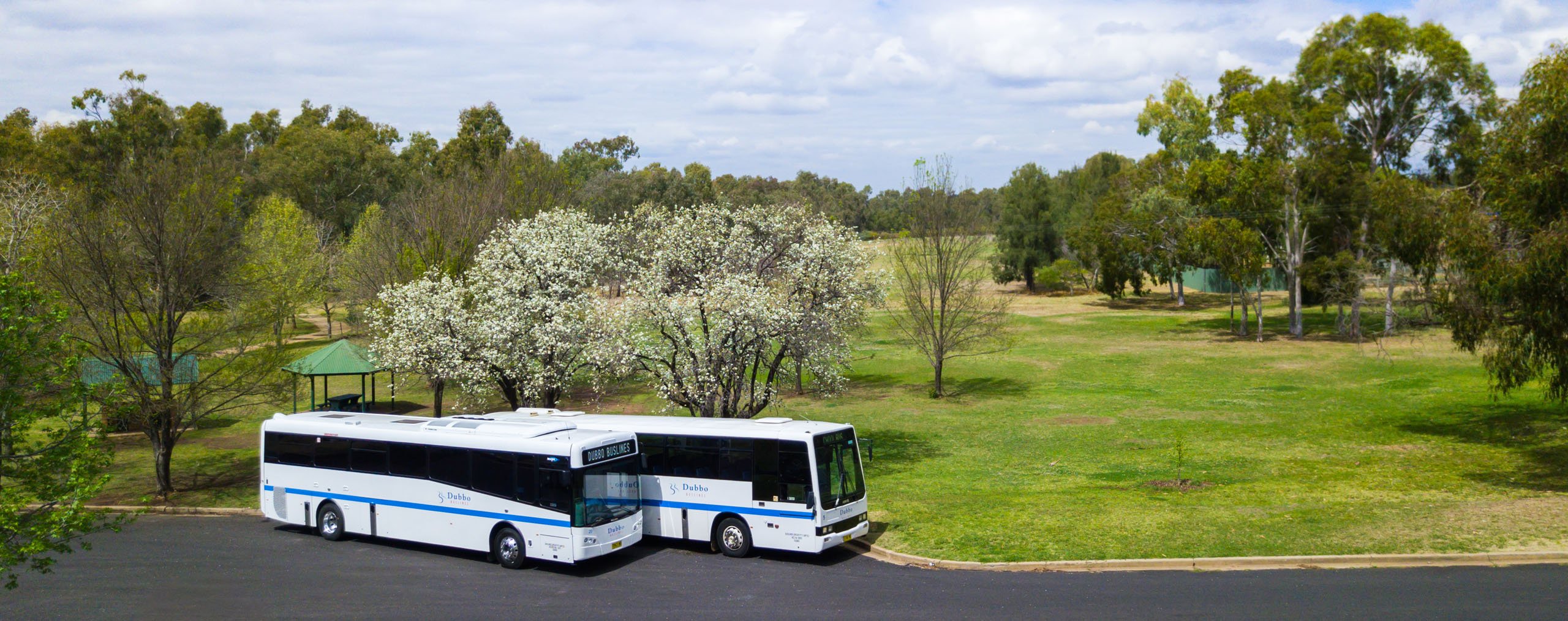 Buslines bus