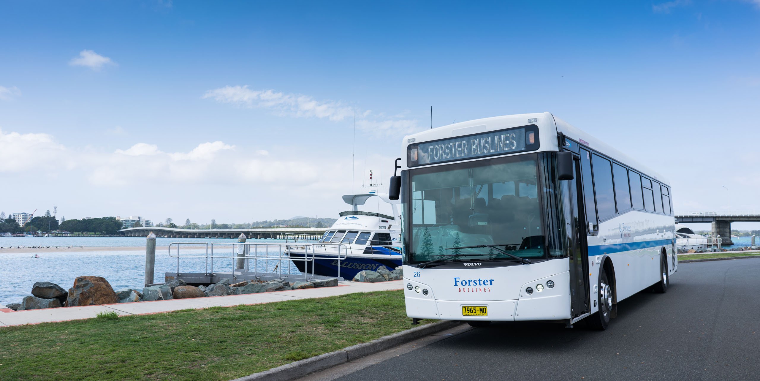 Buslines bus