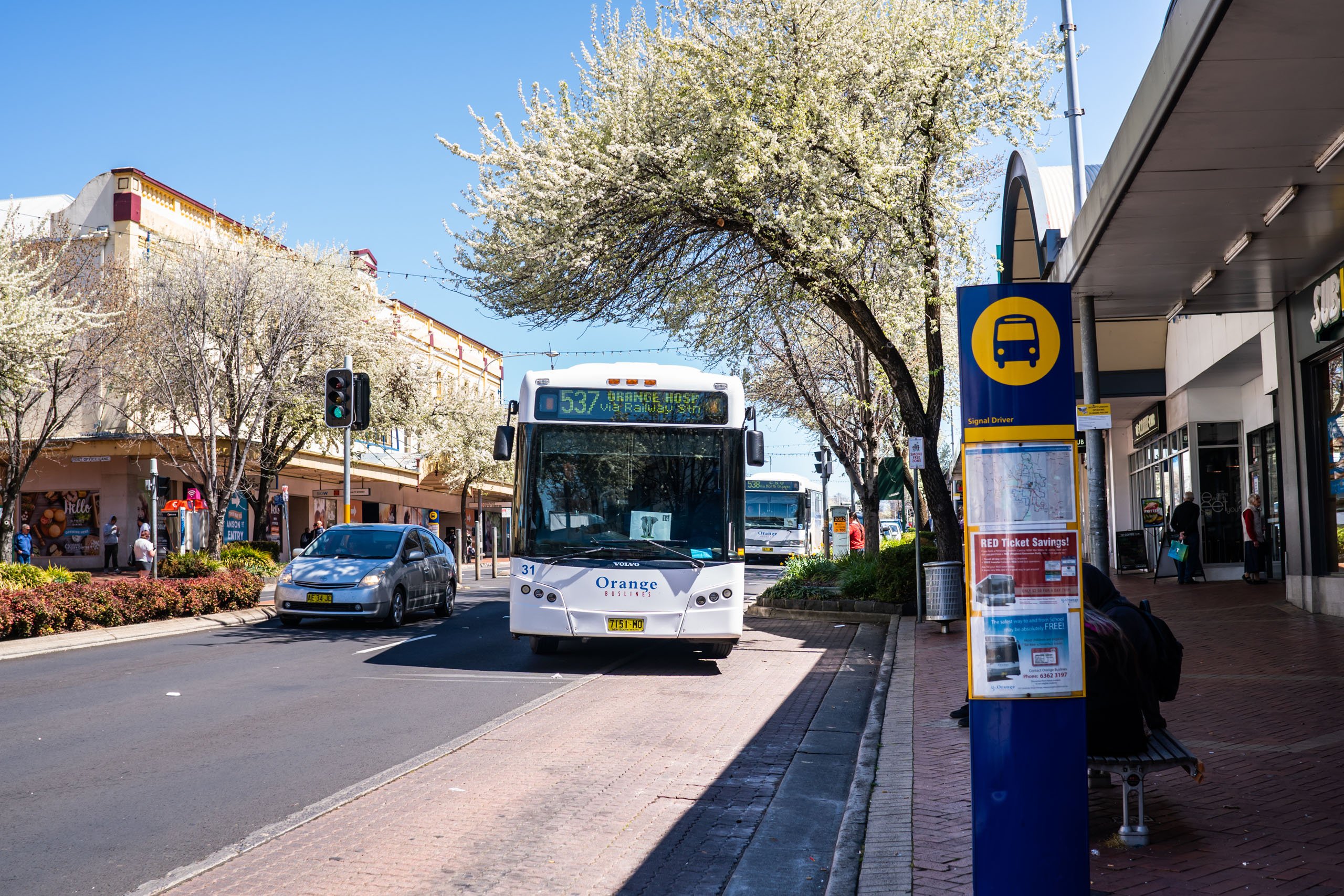 Buslines bus