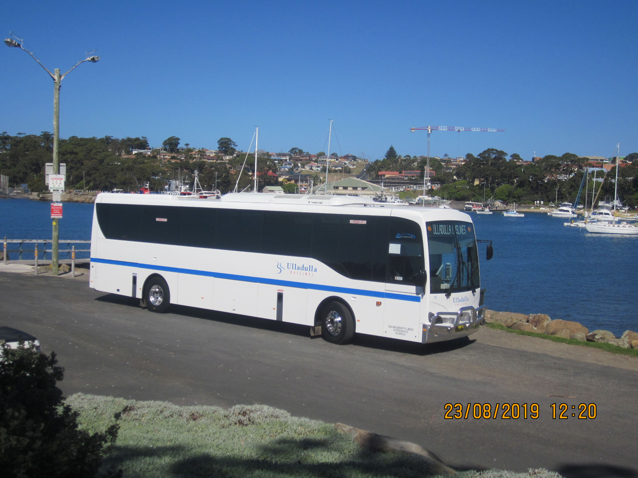 Buslines bus